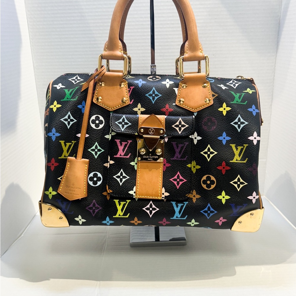 Louis Vuitton Multicolor Monogram Handbag